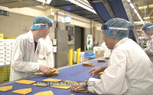 从讲台到饼厂 香港移民在英国的阶层漂流与重生